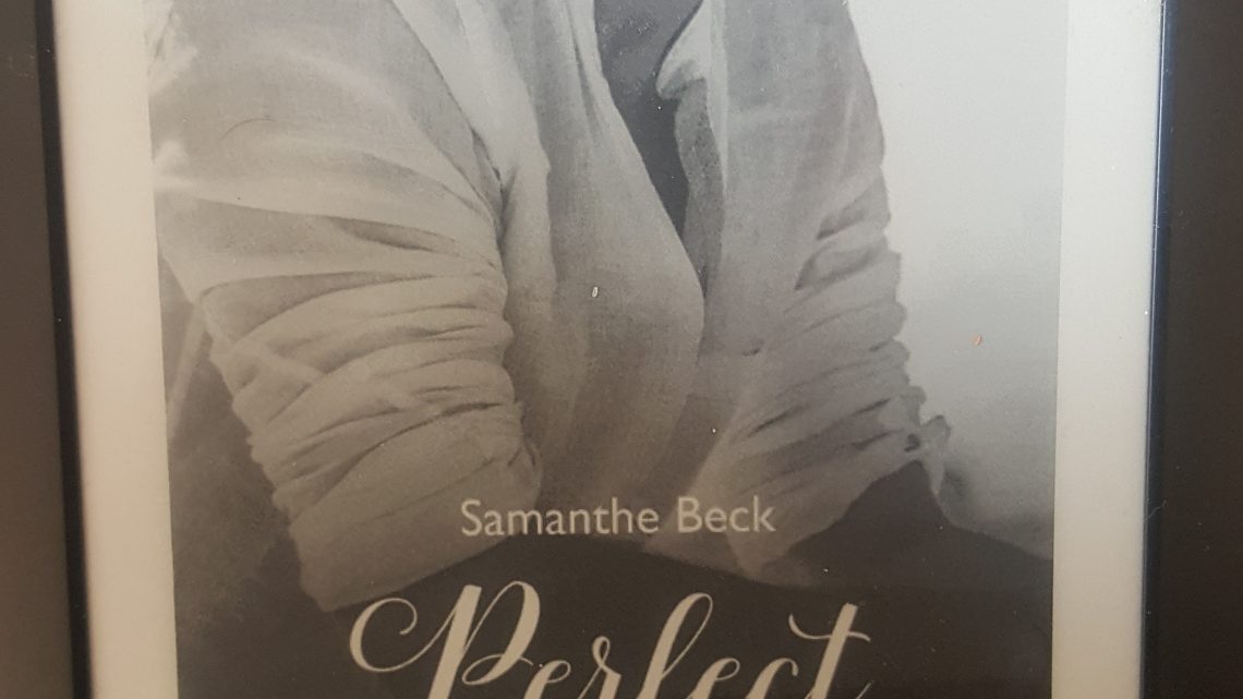 Rezension zu Perfect Stranger (Compromise me 3)