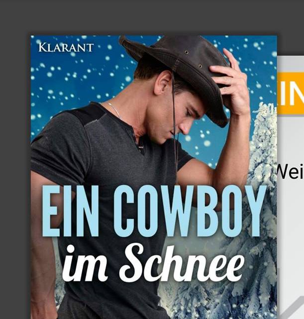 Rezension zu Ein Cowboy im Schnee