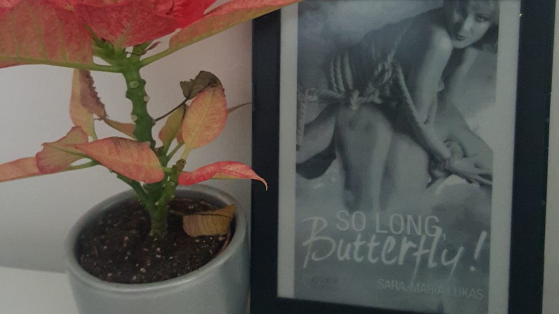Rezension zu So long, Butterfly! (Hard & Love 4)