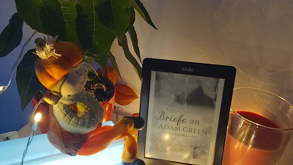 Rezension zu Briefe an Adam Green: Ein Weihnachtsmärchen